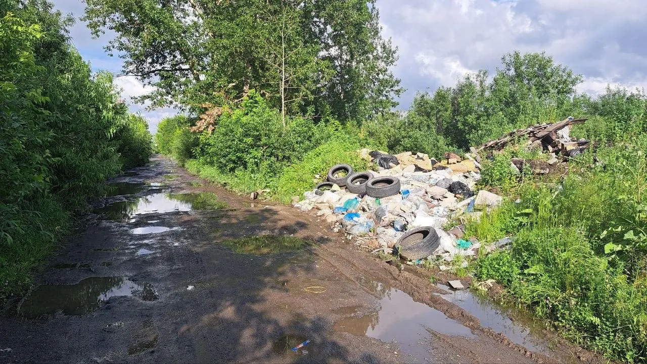 4 июля пройдёт субботник на полуострове Баран: уборка мусора, обед для участников и арт‑программа с мастер‑классами, играми и музыкой.
