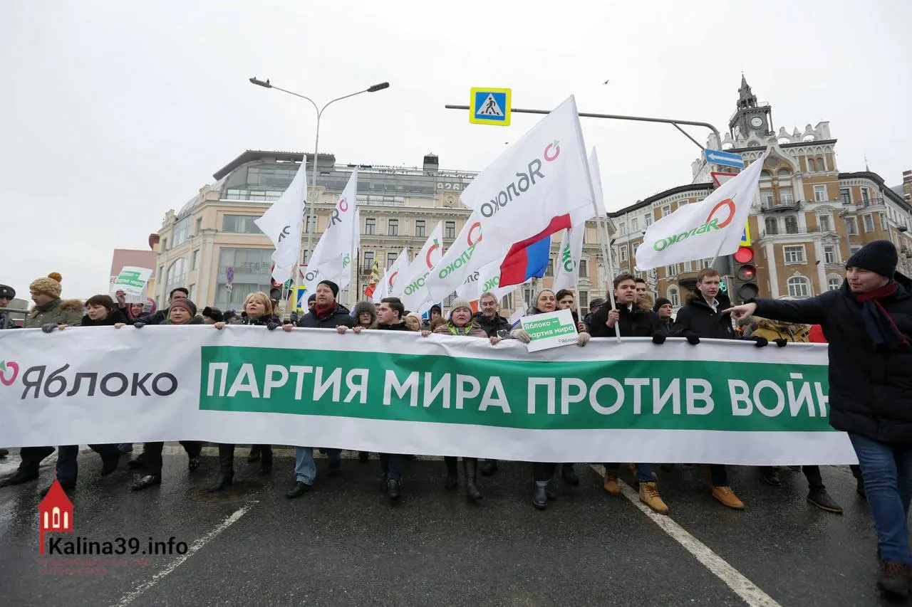 Регистрацию федерального списка «Яблоко» объясняют желанием властей канализировать протестные настроения. Партию допустили, но многих её видных политиков не допустили к участию — голосование остаётся одной из немногих легальных возможностей выразить позицию.
