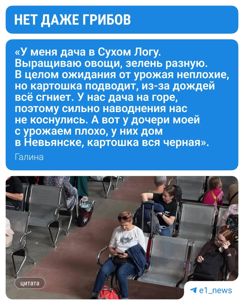 Сильные ливни в окрестностях Екатеринбурга погубили часть огородов: дачники из Билимбая, Полевского и других посёлков рассказывают о гнили и потерях урожая.