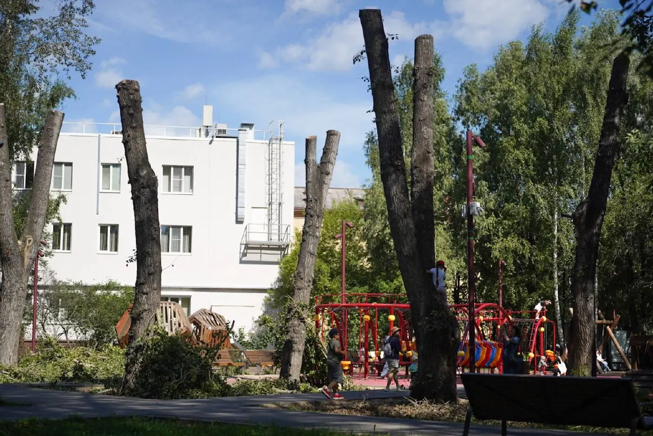 Активисты Екатеринбурга критикуют радикальное кронирование деревьев вокруг детской площадки в парке Энгельса, опасаясь за гнезда птиц и состояние насаждений.