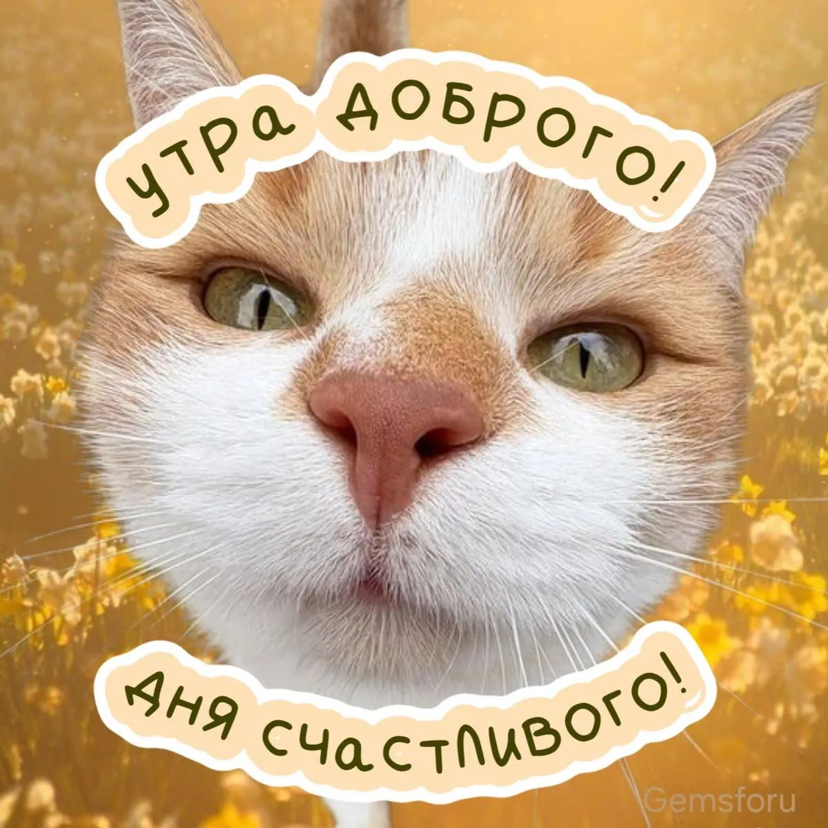 Краткий утренний прогноз: до +29°C, переменная облачность. Пусть день пройдёт гладко!