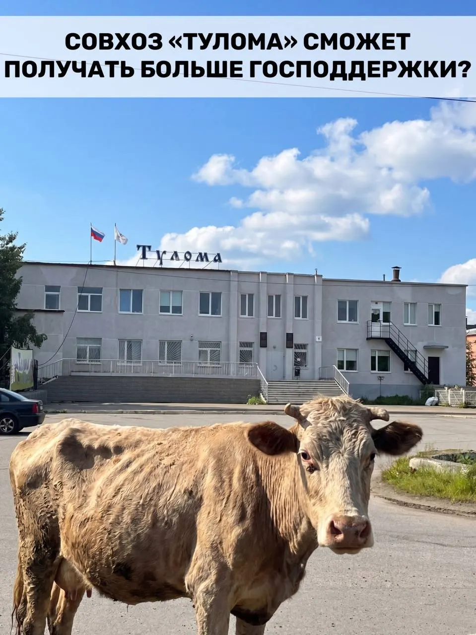 Правила субсидирования молочного животноводства расширили: теперь помощь доступна и хозяйствам с более чем 25% гос- или муниципальной доли. На фоне критической ситуации в отдельных предприятиях региона у жителей возникают вопросы о своевременности этой поддержки.