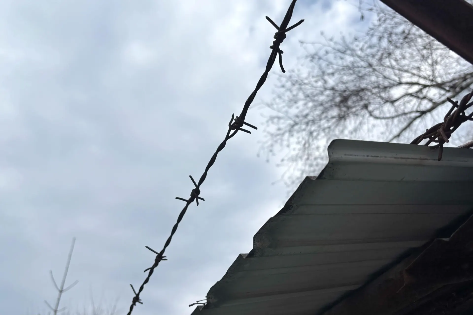 Женщина помещена под стражу по подозрению в убийстве сожителя: по версии следствия, она нанесла ему несколько ножевых ран в голову.