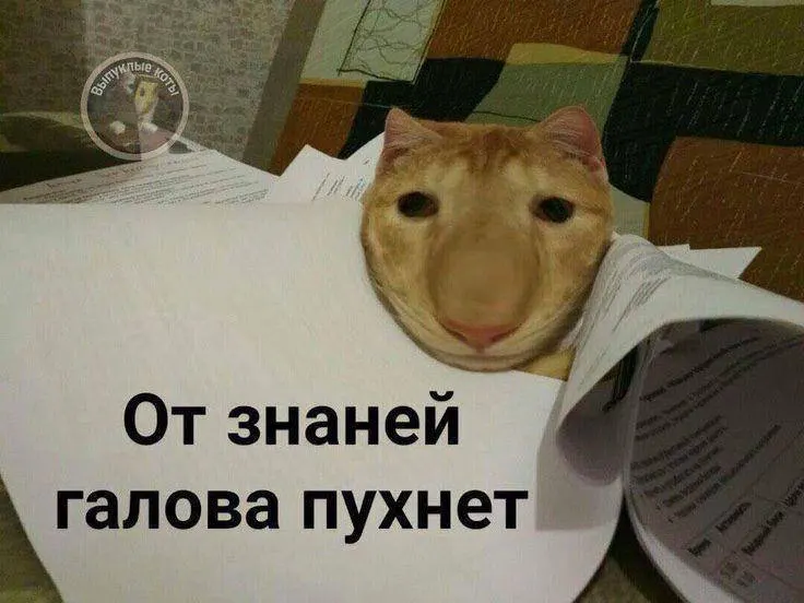 Министр спорта сообщил о планах ввести норматив по управлению небольшим дроном в пилотном режиме в этом году, а со следующего года — сделать его доступным по всей стране; знак ГТО по этому испытанию может дать до 10 баллов к результатам экзамена.