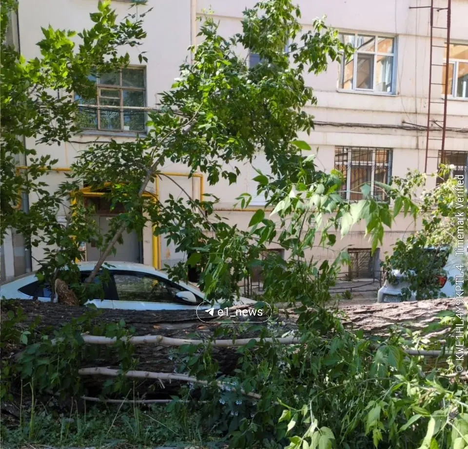 На Горького, 29 из‑за сильного ветра упавшие деревья повредили припаркованные автомобили. Очевидцы опубликовали снимки с места происшествия.
