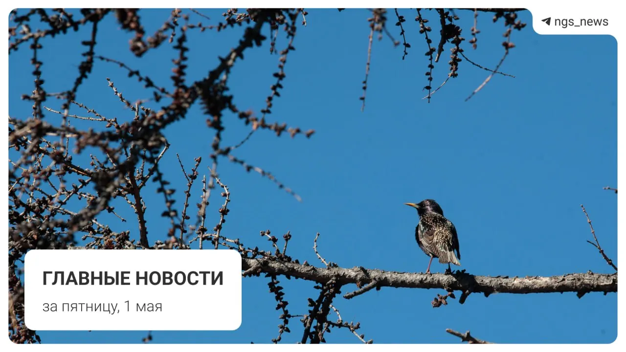 В детской спортивной школе в Татарске обрушился потолок — пострадавших нет. Также в подборке: поезд метро из старых вагонов, сроки включения фонтана в Центральном парке, первомайское шествие и погром на площади Маркса.