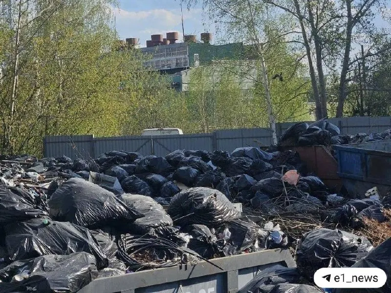 После служебного совещания по крупной свалке в Екатеринбурге один специалист уволен, ещё один получил выговор; завалы и переполненные контейнеры убрали в кратчайшие сроки.