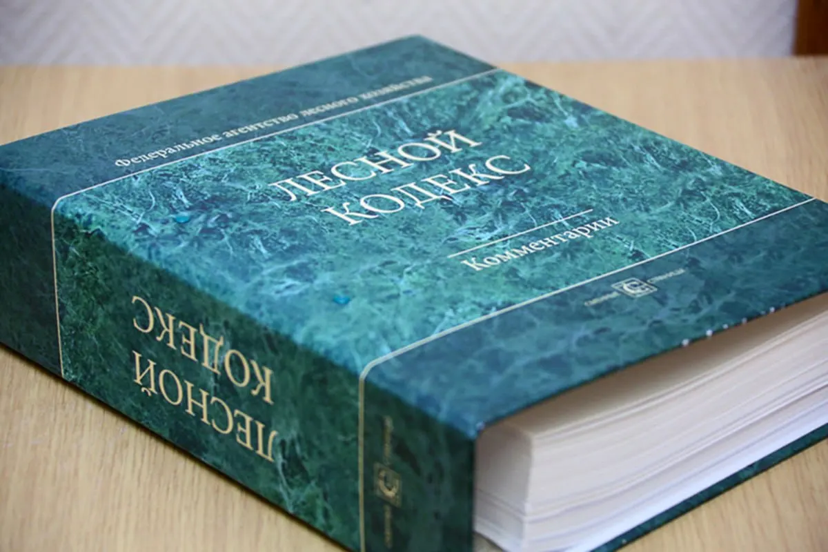По мнению эксперта по лесному хозяйству, множественные поправки сделали Лесной кодекс неактуальным; он предлагает разработать краткий и простой новый документ.