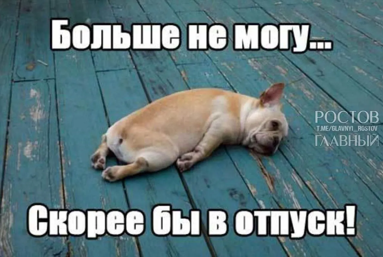 Депутаты предлагают увеличить минимальную продолжительность отпуска с 28 до 35 дней, чтобы компенсировать выходные, которые сейчас включаются в отпуск, и помочь гражданам лучше восстанавливаться и избегать выгорания.