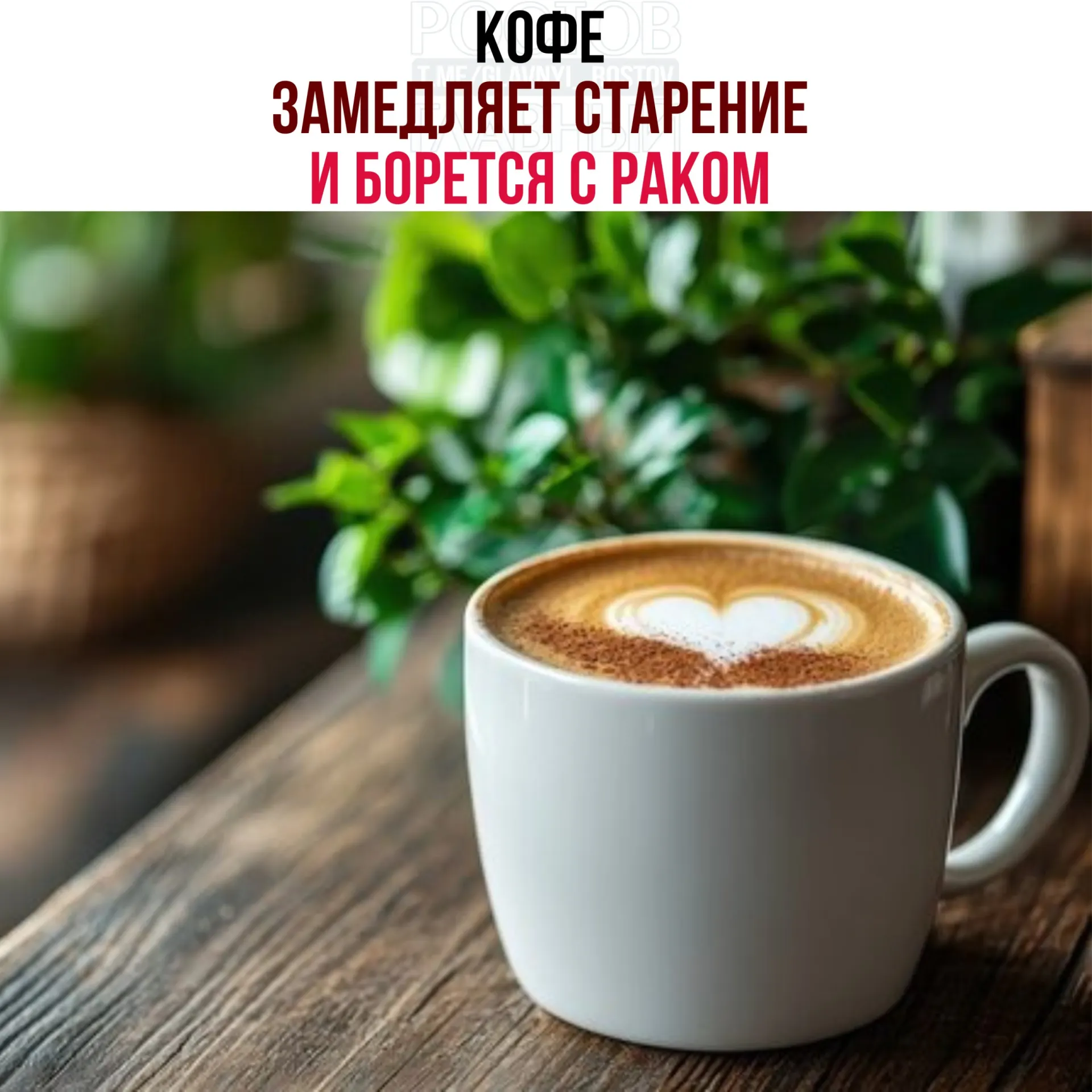 Исследователи установили, что кислоты и полифенолы в зёрнах кофе активируют белок NR4A1, который запускает восстановительные процессы в клетках, снижает воспаление и замедляет рост раковых клеток.
