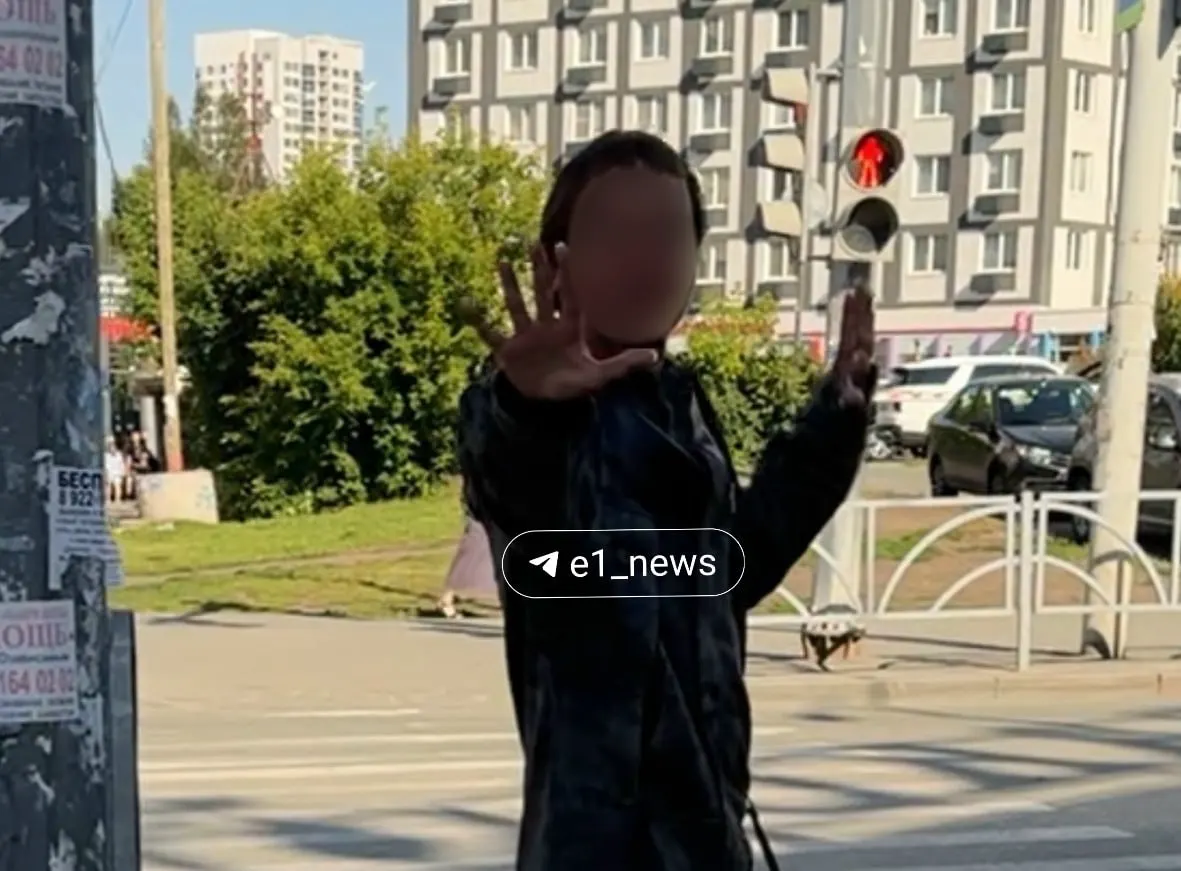 Жители Пионерки сообщили о серии нападений на мам с детьми. Полиция задержала подозреваемого и направила его в медучреждение для обследования.