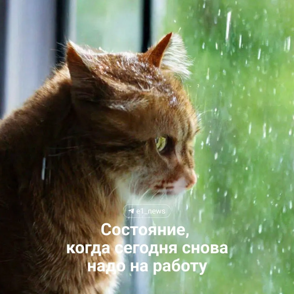 Уральский гидрометцентр предупреждает об ухудшении погоды: в Свердловской области днём +23…+28°C, местами кратковременные дожди и грозы. В Екатеринбурге осадков сегодня не ожидается, дождь возможен завтра.