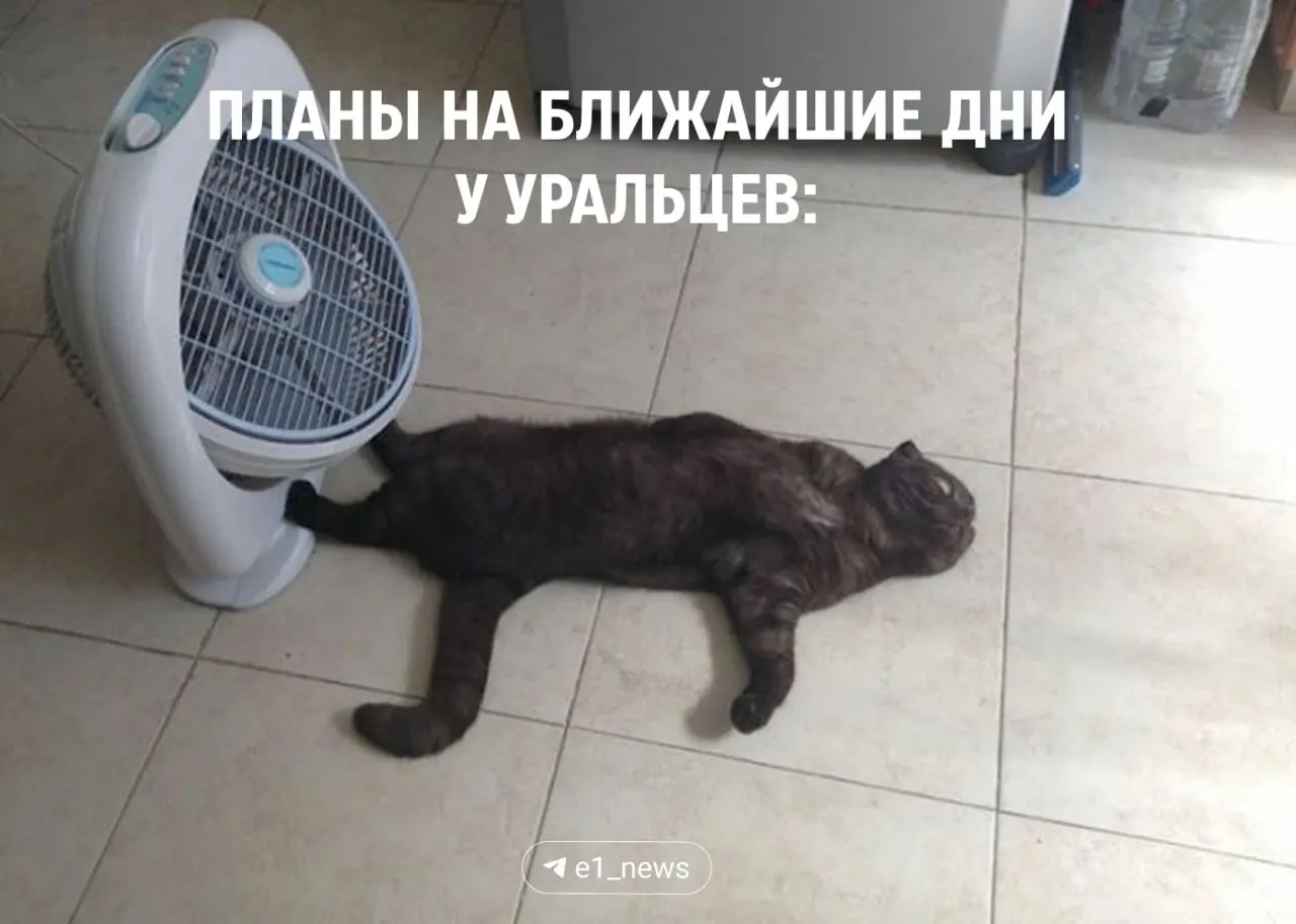 До вторника — до +28°C и солнце, в среду возможна гроза и до +29°C, затем похолодание до +22…+24°C; ночами около 10–12°C.