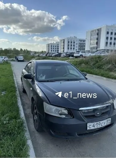В Мичуринском районе жители заметили собаку, запертую в маленькой легковушке. Хозяева объяснили, что в семье появился малыш, но соседи считают, что условия содержания животного неприемлемы.