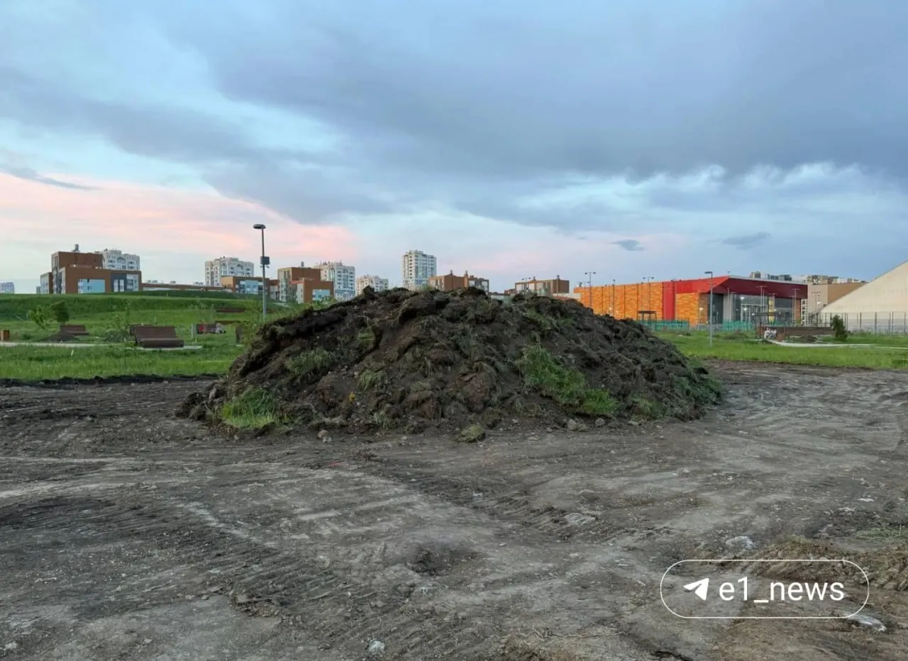 Местные заметили технику и вырытые участки газона в Преображенском парке. В администрации района заявили, что там посадят деревья и обустроят спортивные и детскую площадки.