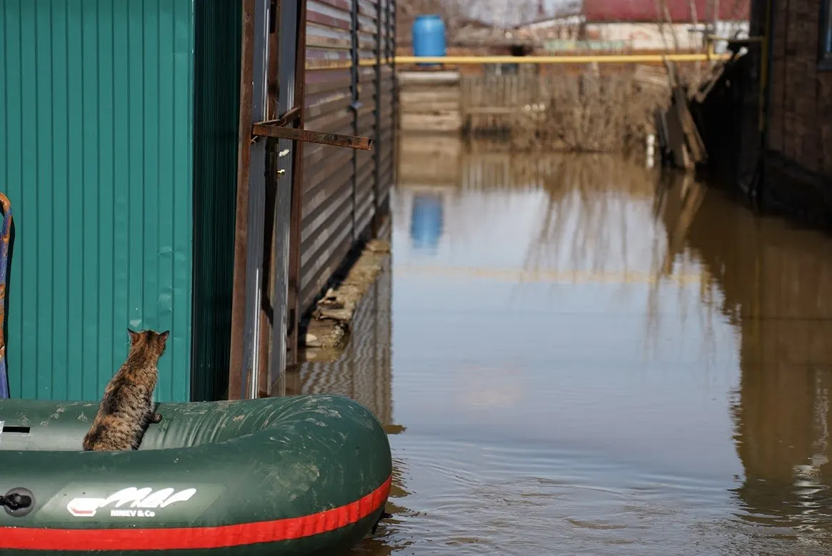 С 10 по 15 июня в регионе ожидают резкий подъём уровня воды, экстренные службы и муниципалитеты переведены в режим готовности. Наибольшая опасность — для ряда городов и бассейнов рек.