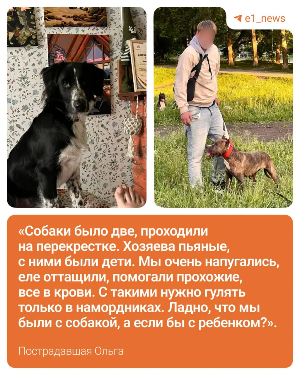 На перекрёстке Бакинских Комиссаров и Восстания собака без намордника напала на женщину и её щенка — у питомца серьёзные укусы, хозяйка обратилась в полицию.