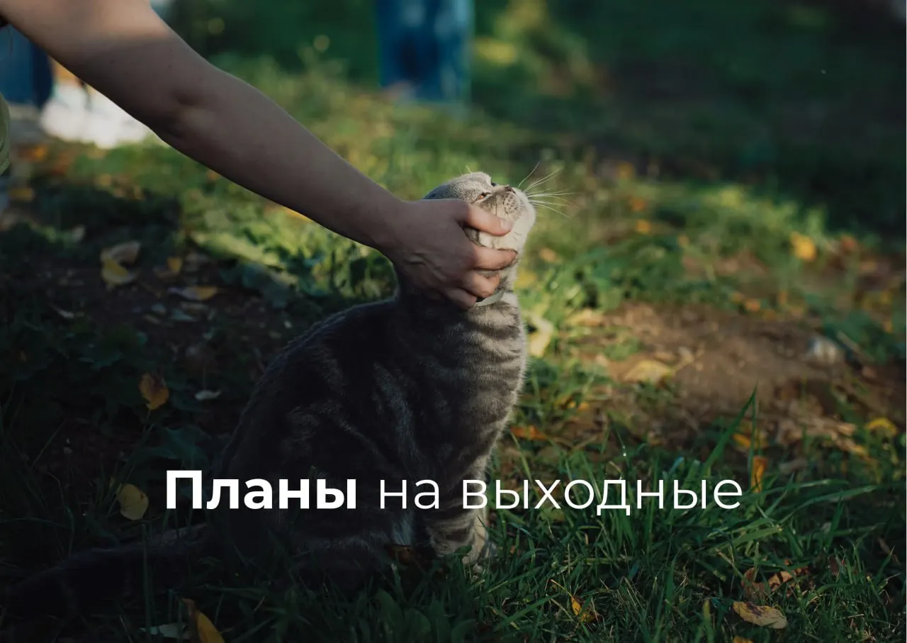 Короткая подборка мероприятий на пятницу и выходные: экскурсии, спектакли, маркет и показ матчей на большом экране.