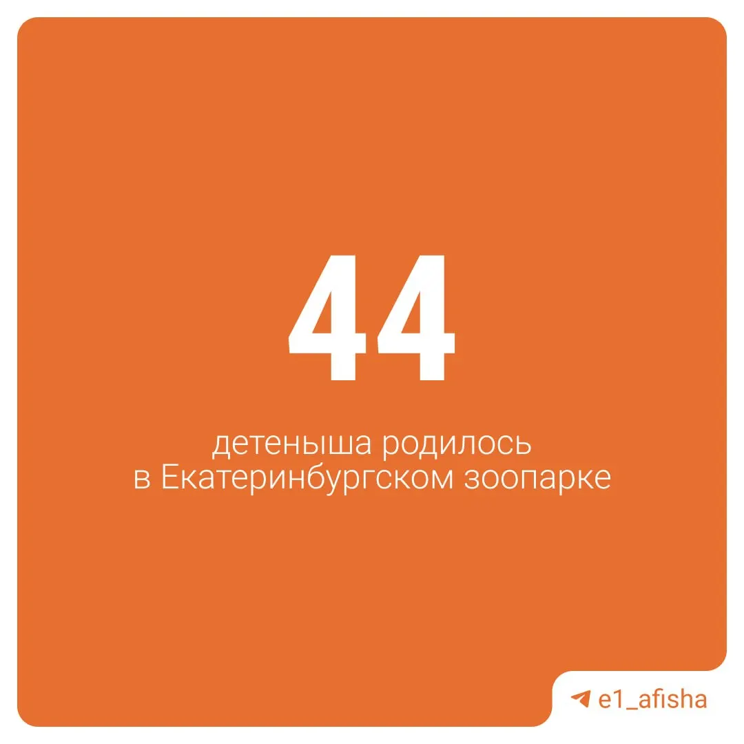 В 2026 году в зоопарке появилось множество новорождённых: белорукие гиббоны, восточные колобусы, зелёные мартышки и носухи. В 2025 году были рождены ленивцы и сразу три кенгурёнка; также пополнение у шиншилл, опоссумов, летяг, ежей и павлинов.