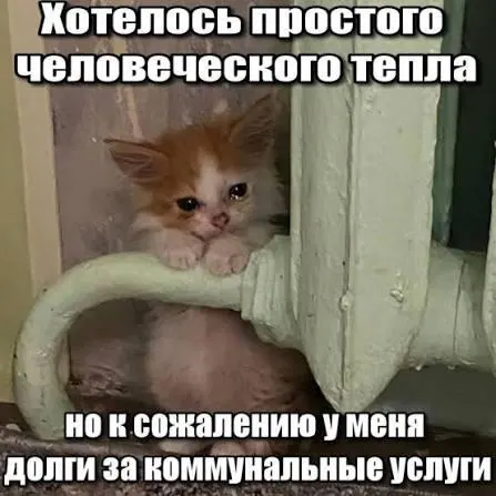 Верховный суд подтвердил, что в платёжках нельзя указывать задолженности по капитальному ремонту, по которым истёк трёхлетний срок исковой давности; это даёт защиту покупателям вторичного жилья и наследникам.