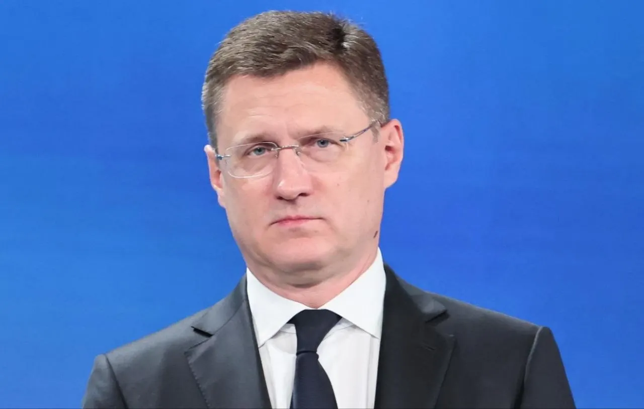 Правительство поручило Минэнерго и ФАС усилить надзор за ценами на независимые автозаправочные станции.