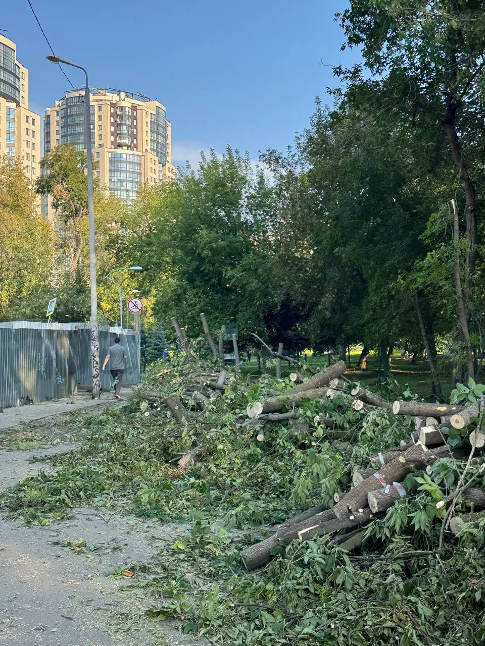 Городские власти реализуют комплекс работ по благоустройству территории у парка Зеленая Роща: снос части паркинга, создание спортивных площадок и зон отдыха.