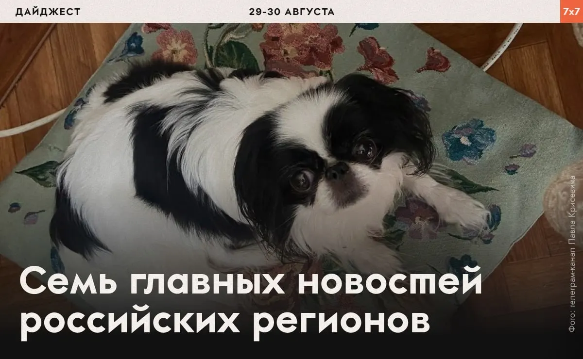 В ряде регионов фиксируются примеры давления на гражданских активистов, включая принуждения к физическим упражнениям, ограничения агитации и аресты.