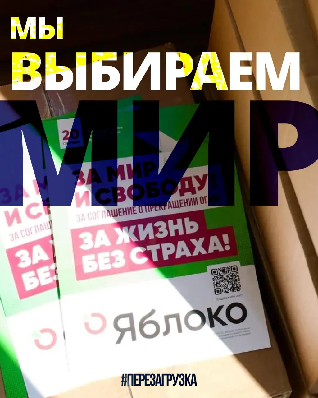 Партия «Яблоко» ведет кампанию в 53 регионах с участием 135 кандидатов; в ближайшее время будет подана апелляция в Верховный суд, рост поддержки отмечается как в России, так и за её пределами.