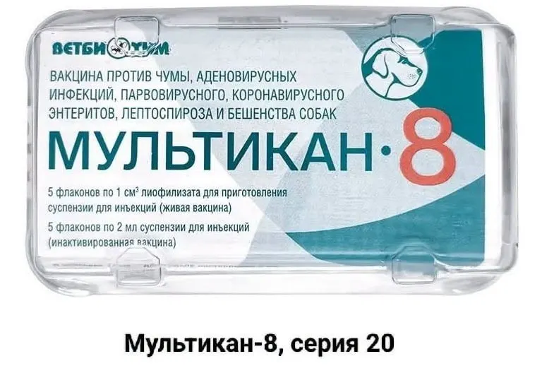 Около ста собак погибло после прививок вакциной Мультикан-8; случаи зафиксированы в нескольких регионах, ведется расследование и отзыв серий.