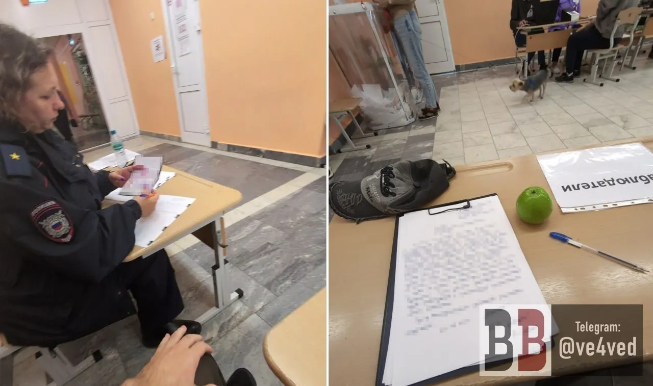 На участке №1457 в Екатеринбурге полицейские изъяли яблоко у наблюдателя кандидата от партии «Яблоко». Наблюдатель утверждает, что это — попытка агитации, предположительно по указанию председателя комиссии.