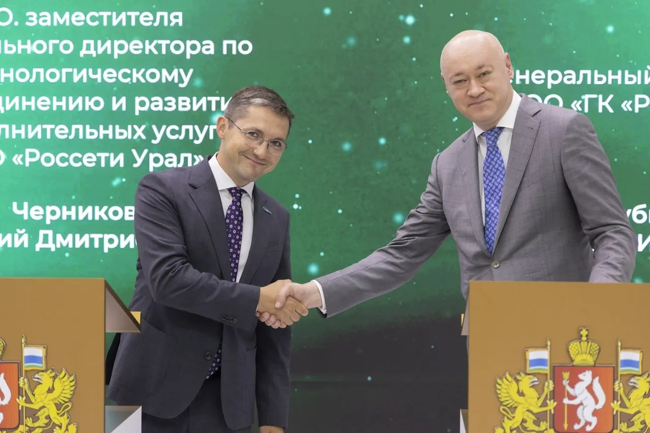 Заместители гендиректора по технологическому присоединению и развитию дополнительных услуг обвиняются в превышении полномочий; Черников задержан после Иннопрома, позже отпущен под домашний арест, Кокшаров получил запрет на ряд действий.