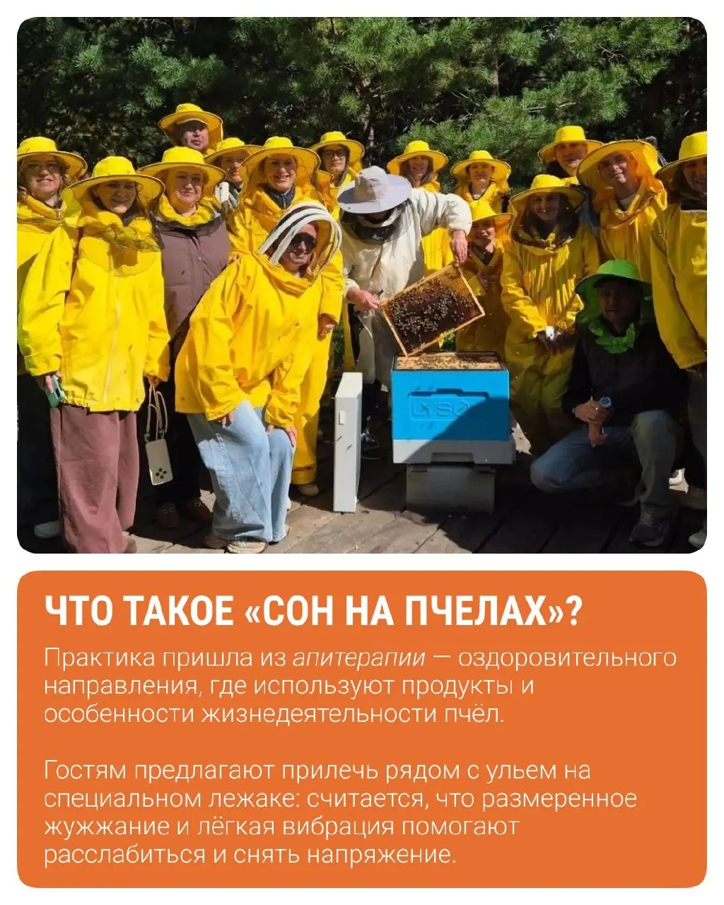 В эко-комплексе «Уральская пчелка» запустили услугу ночёвки среди ульев. Участники Всероссийской школы агротуризма из тридцати регионов обсудили превращение хозяйства в турбизнес; инициатор проекта — депутат Людмила Бабушкина.