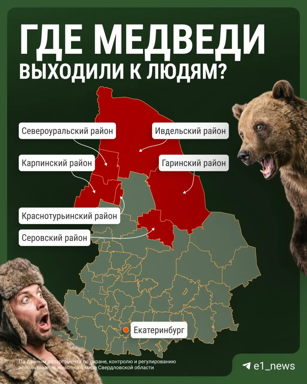 Повторяющиеся появления медведей возле населённых пунктов региона; специалисты объясняют причины и меры реагирования.