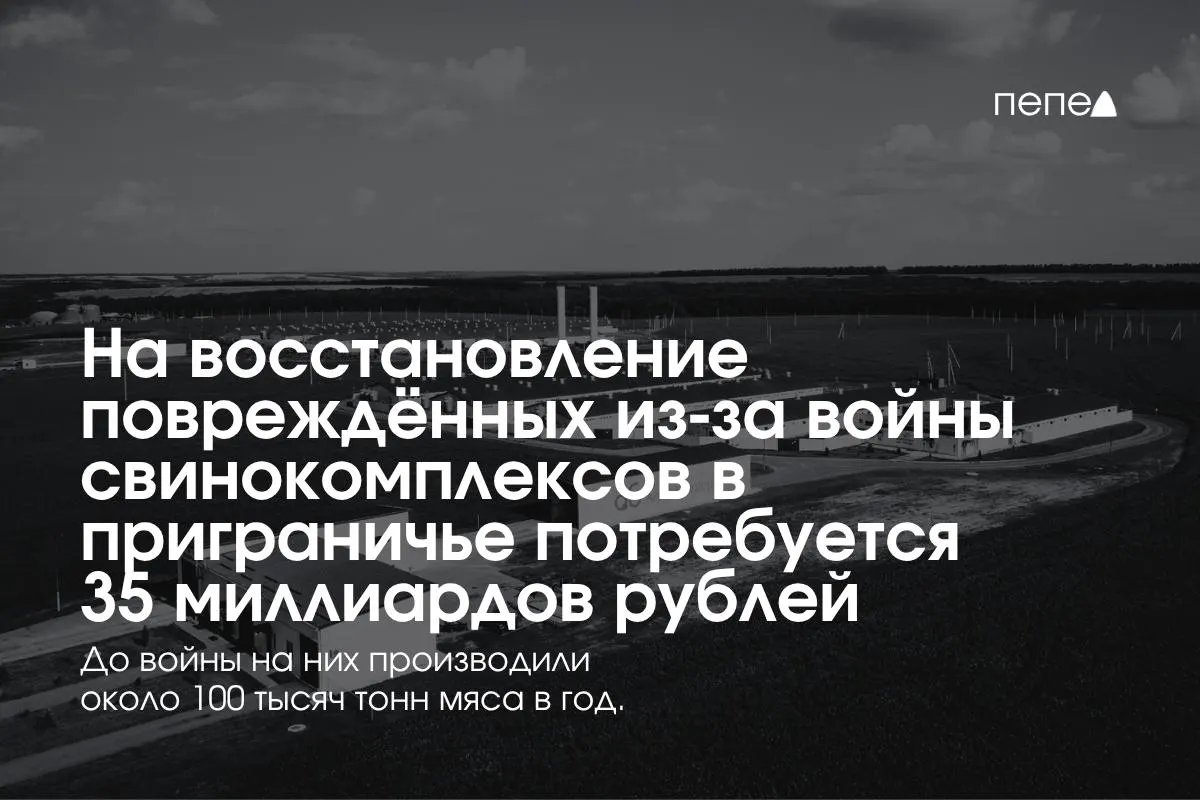 Расходы на восстановление свиноводческих хозяйств региона оцениваются в 35 миллиардов рублей.