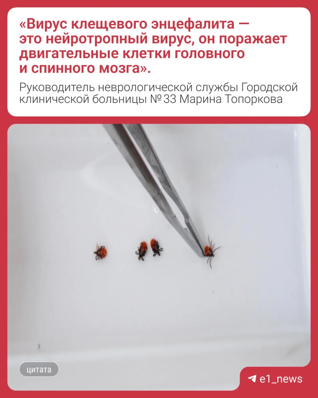 В Свердловской области зарегистрированы четыре смертельных случая после укусов клещей; среди погибших — жители Екатеринбурга. У всех отсутствовала прививка от клещевого энцефалита.