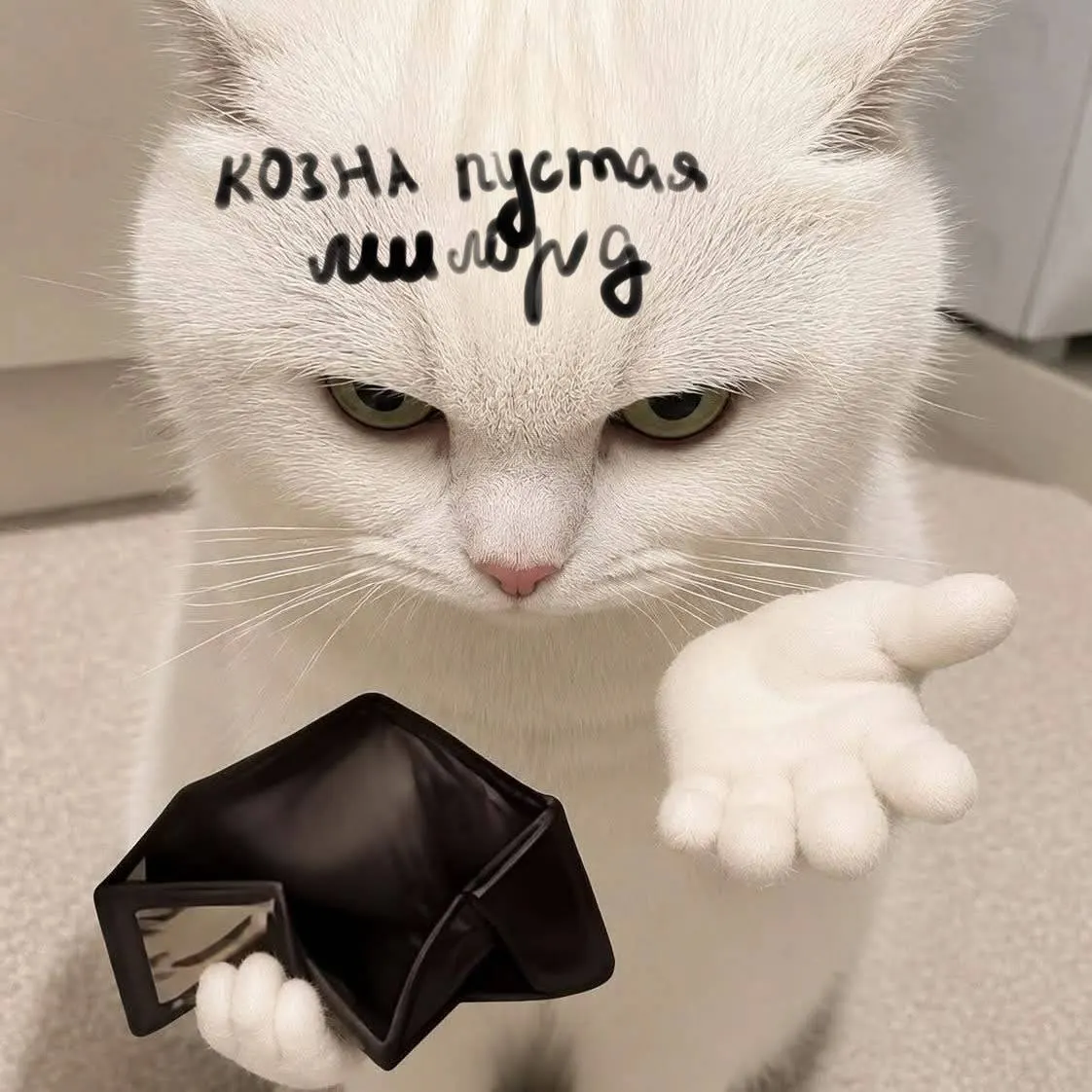 Россия подняла тарифы на коммунальные услуги; в Екатеринбурге подорожали вода, электричество, отопление и вывоз мусора.