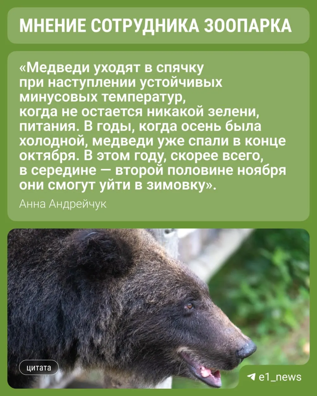 Учёные объясняют, что запасы жира и наличие пищи определяют, когда косолапые уйдут в спячку, а вмешательство человека может менять кормовую базу.